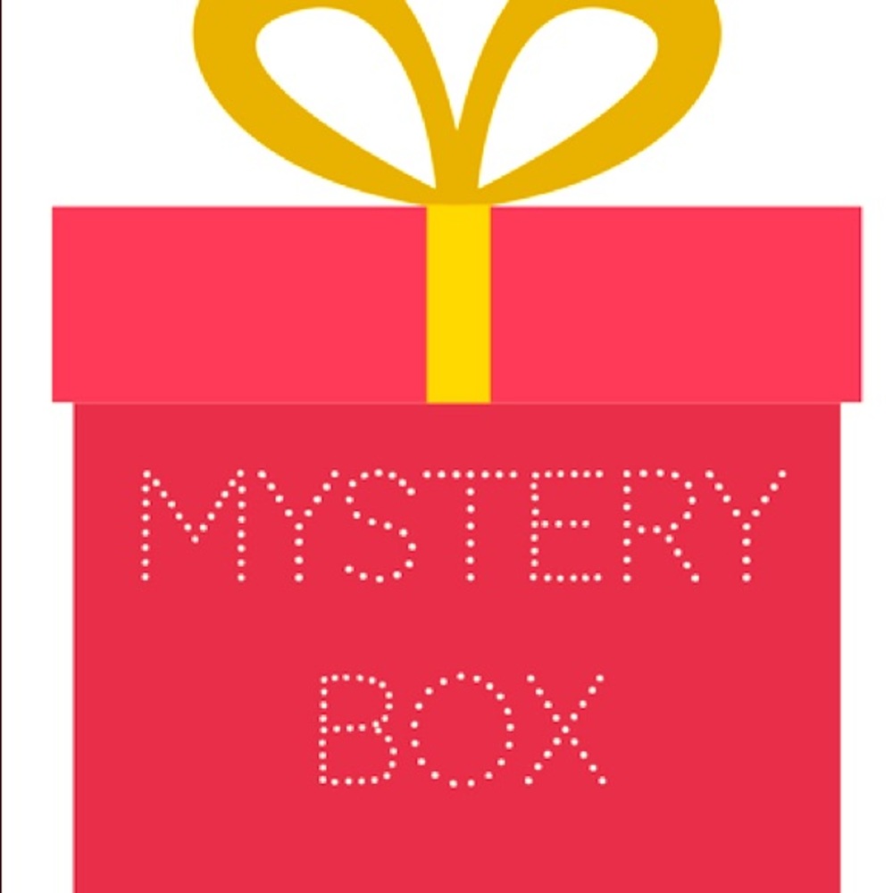 $200+ Surprise Mystery Box
